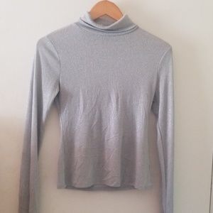 Turtle neck top.  Shimmer.